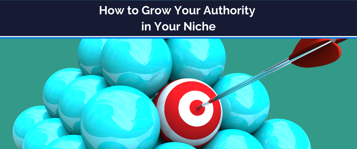 grow your authority in your niche